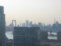img4435_Zn.jpg