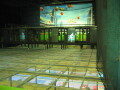 img4441_Zn.jpg