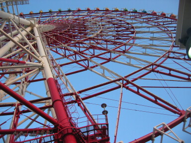 img4449_Zn.jpg