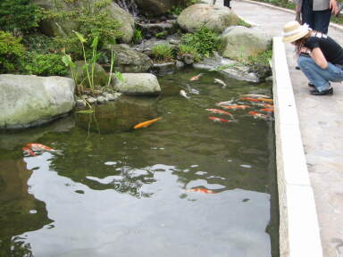 img6089_Zn.jpg