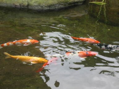 img6091_Zn.jpg