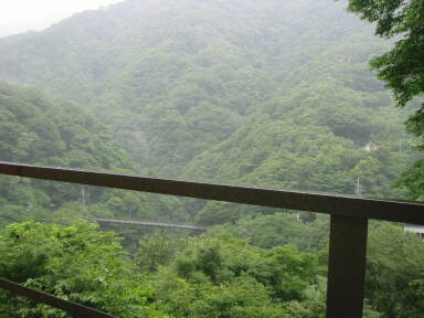 img6097_Zn.jpg