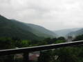 img6099_Zn.jpg