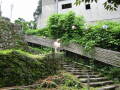 img6102_Zn.jpg