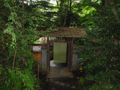 img6103_Zn.jpg