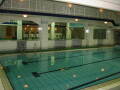 img6117_Zn.jpg
