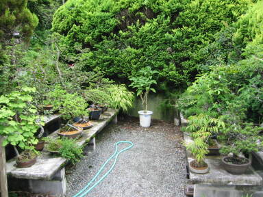 img6139_Zn.jpg