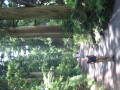 img6153_Zn.jpg