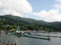 img6172_Zn.jpg