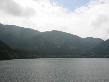 img6181_Zn.jpg
