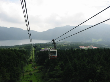 img6184_Zn.jpg