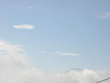 img6195_Zn.jpg