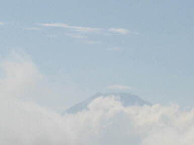 img6197_Zn.jpg