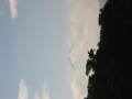 img6198_Zn.jpg