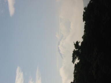img6198_Zn.jpg
