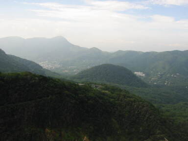 img6200_Zn.jpg