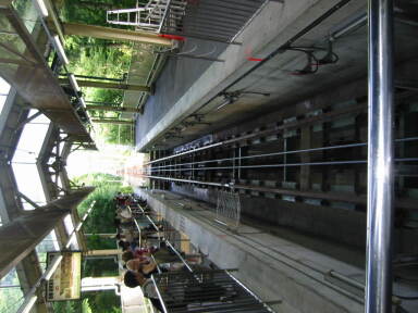 img6205_Zn.jpg