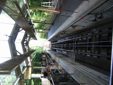 img6206_Zn.jpg