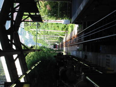 img6209_Zn.jpg