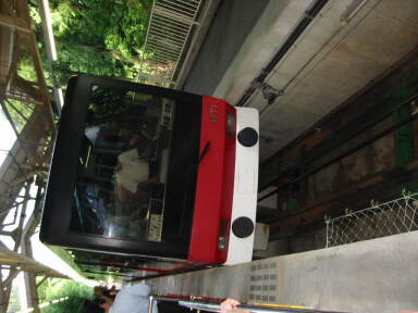img6211_Zn.jpg