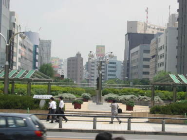 img6230_Zn.jpg