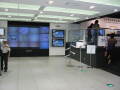 img6237_Zn.jpg
