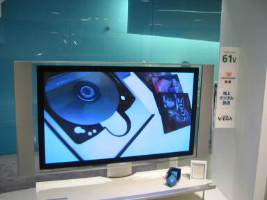 img6245_Zn.jpg