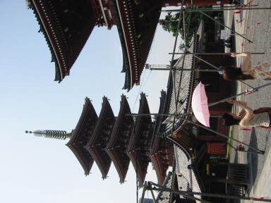 img6259_Zn.jpg