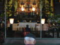 img6264_Zn.jpg
