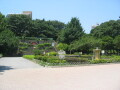 img4475_Zn.jpg