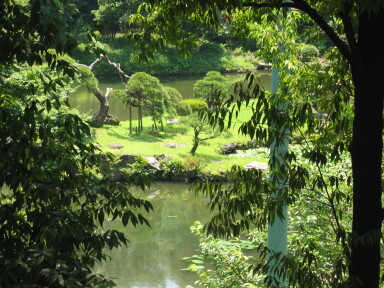 img4489_Zn.jpg