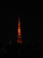 img4523_Zn.jpg