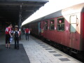 IMG6474_Zn.jpg