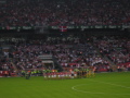 IMG6550_Zn.jpg