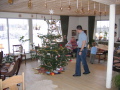 IMG7132_Zn.jpg