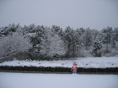 IMG7133_Zn.jpg