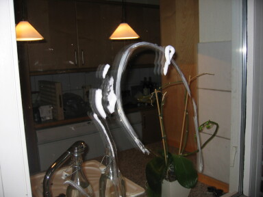 IMG7218_Zn.jpg