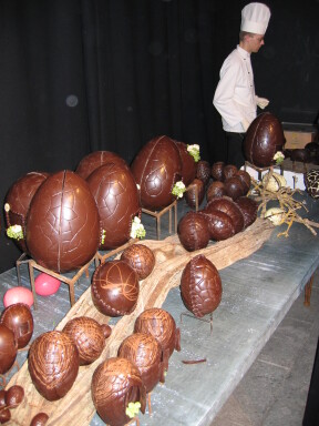 IMG7292_Zn.jpg