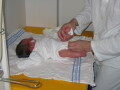 IMG7607_Zn.jpg