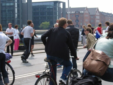 IMG7758_Zn.jpg