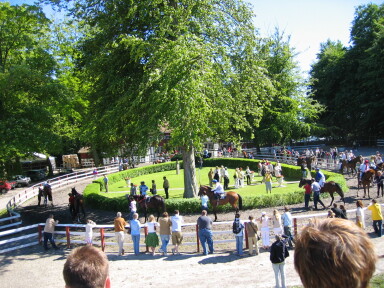 IMG7827_Zn.jpg