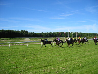 IMG7830_Zn.jpg