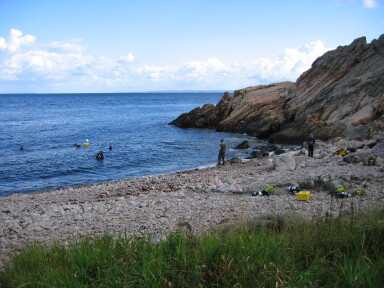 IMG8239_Zn.jpg