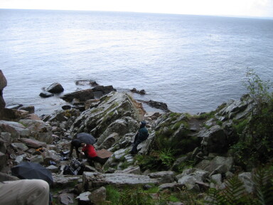 IMG8249_Zn.jpg