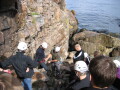 IMG8250_Zn.jpg