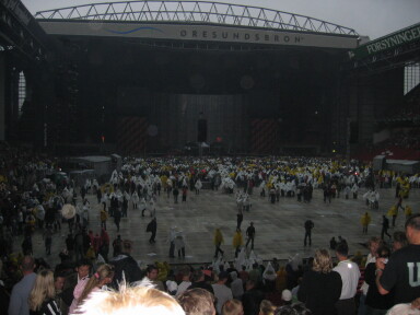 IMG8016_Zn.jpg