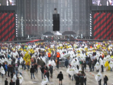 IMG8023_Zn.jpg
