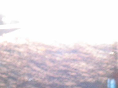 IMG8071_Zn.jpg