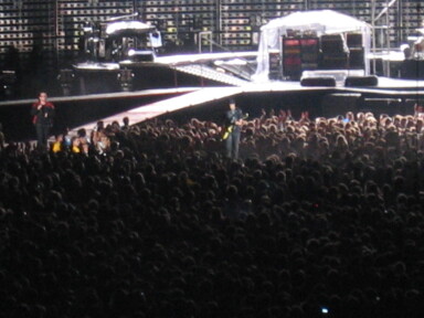 IMG8072_Zn.jpg