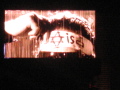 IMG8096_Zn.jpg